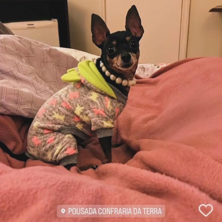 Pousada Confraria Da Terra Campos do Jordão Esterno foto